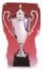Dart Pokale