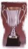 Dart Pokale
